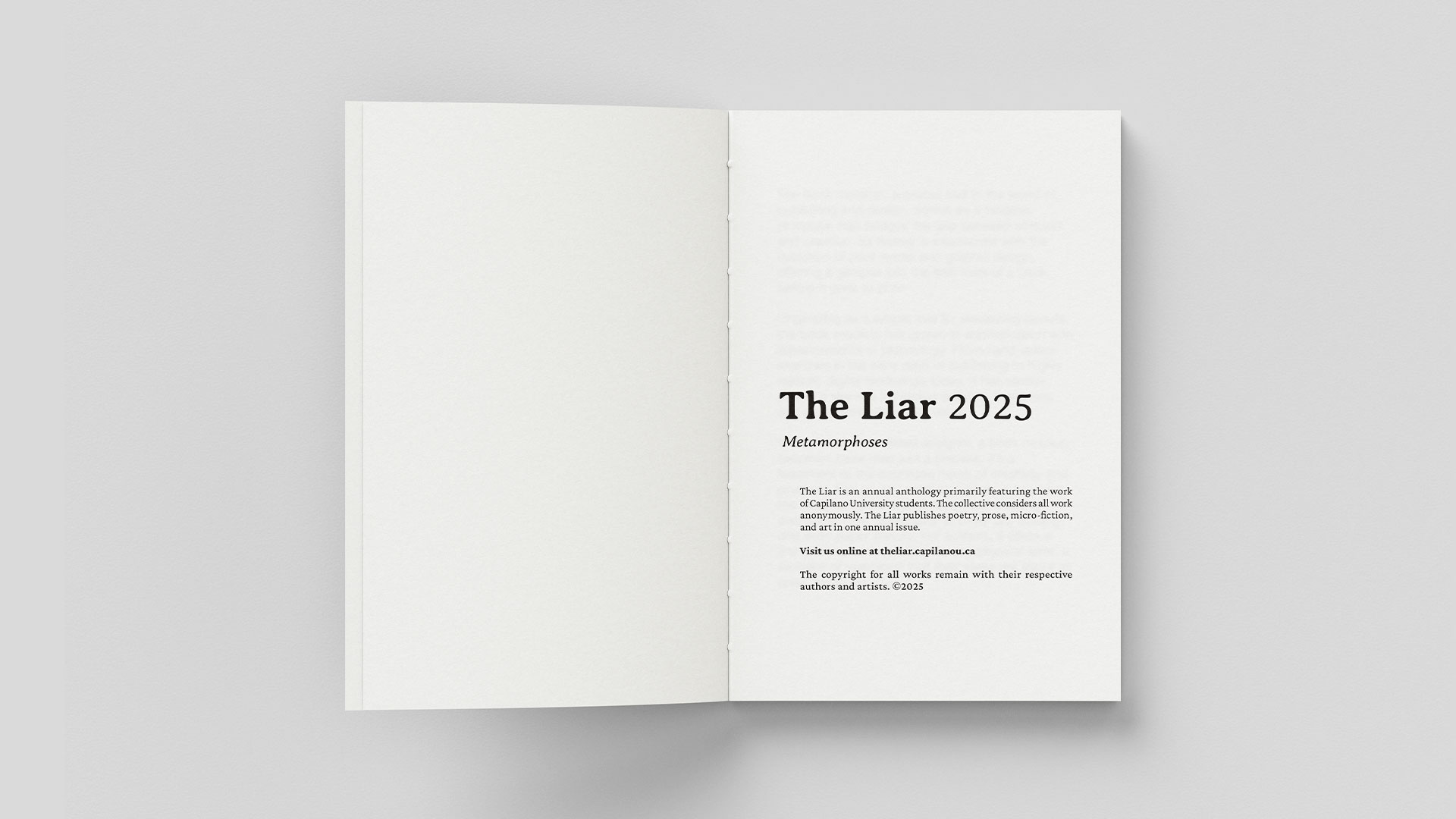 Describe your project