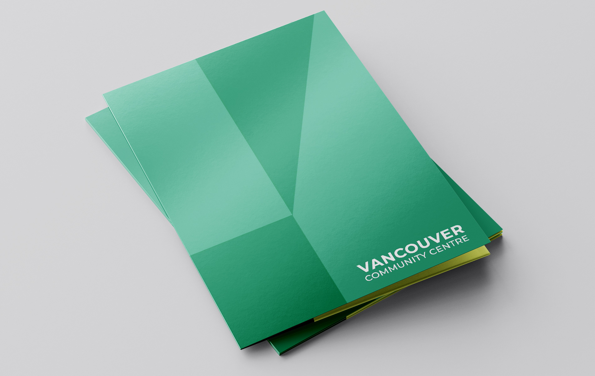 Describe your project