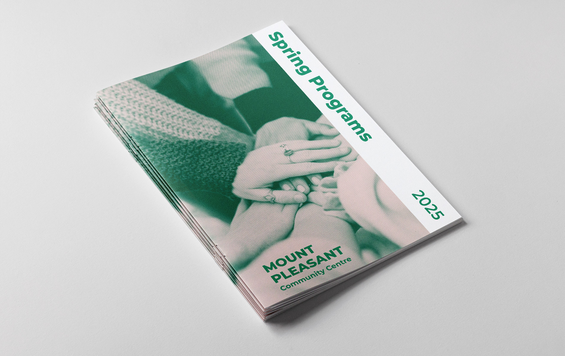 Describe your project